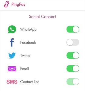 Ping Pay