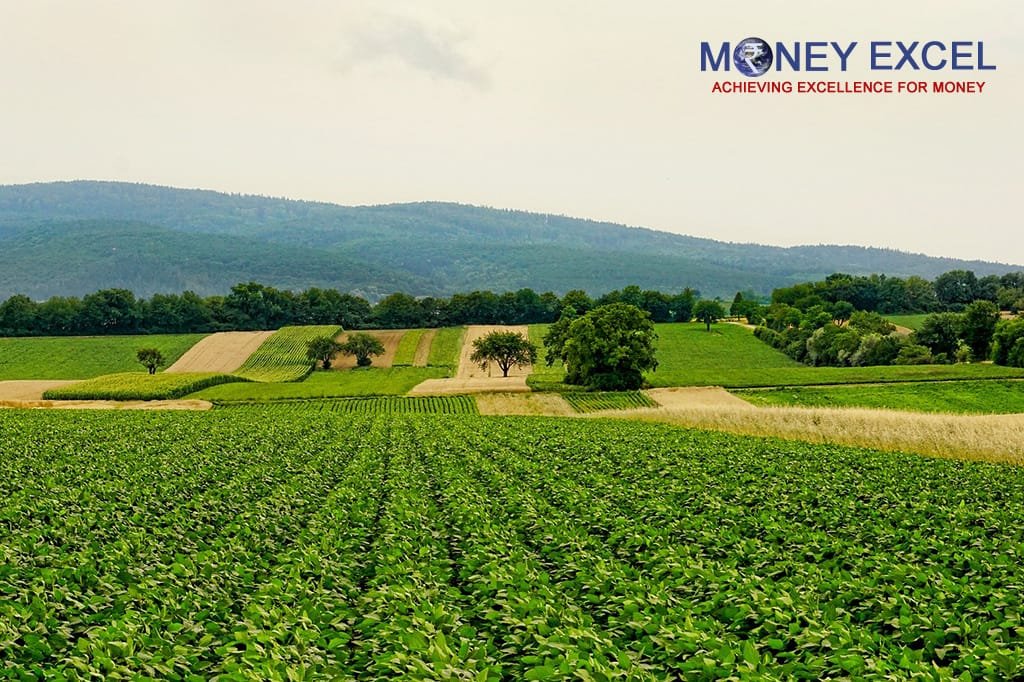 agriculture business ideas