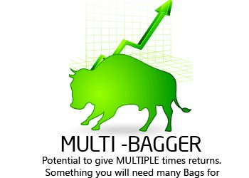 multibagger stock