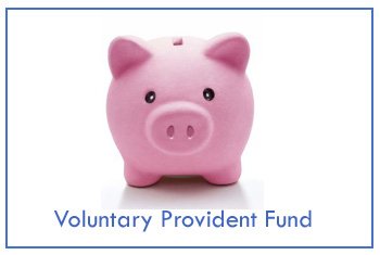 Voluntary Provident Fund