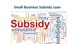 small business subsidy loan