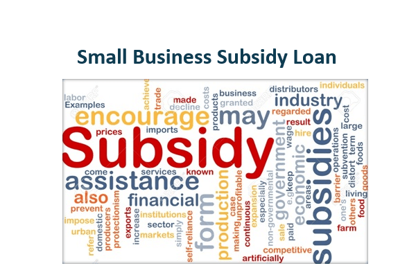 small business subsidy loan