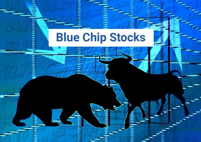 Best Blue Chip Stocks in India (2024)