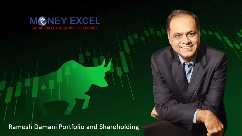 Ramesh Damani Portfolio