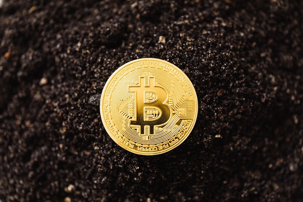 bitcoin-vast landscpae